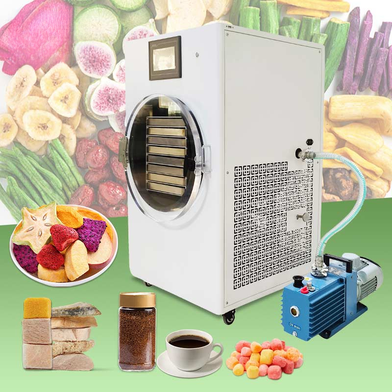 Mały Liofilizator Mini Suszark – Dried Fruit recenzja i cena